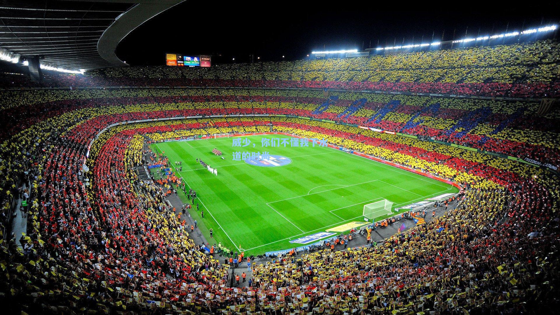 威少，你们不懂我下水道的时尚