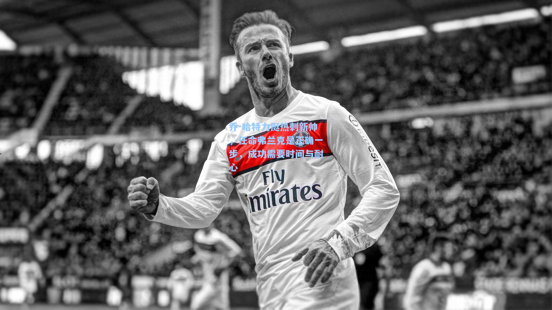 乔-哈特力挺热刺新帅，任命弗兰克是正确一步，成功需要时间与耐心